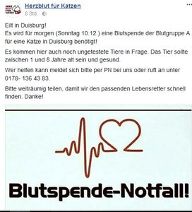 blutspende.JPG