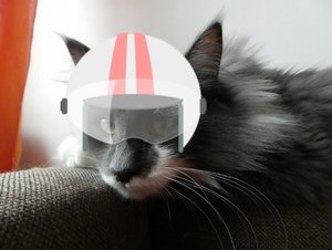 2017-12-10 18.06.43.jpg