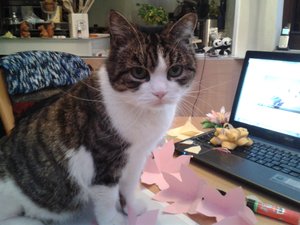 Handy 21.06.2017 208.jpg