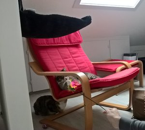 WP_20171223_11_10_39_Pro (2).jpg