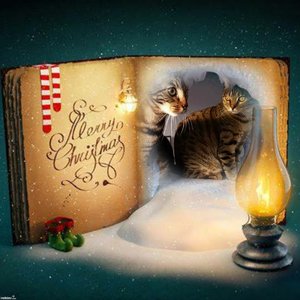 Merry Christmas - 2zxDa-6L9zL - print.jpg