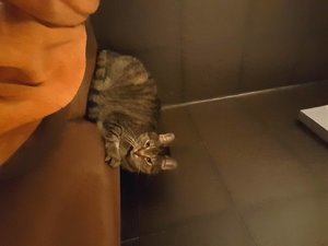 20171228_194315.jpg 20171228_194315.jpg