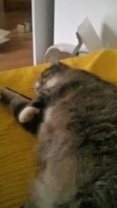 WP_20171228_16_13_06_Pro (2).jpg