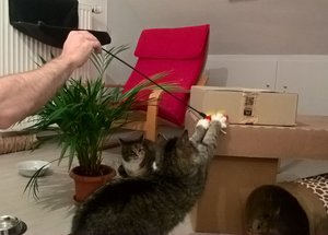 WP_20171229_00_33_17_Pro (2).jpg