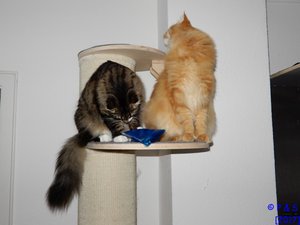 CR_10_2017197 (2).jpg