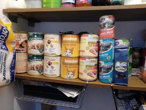 IMG_20180111_142236.jpg IMG_20180111_142236.jpg