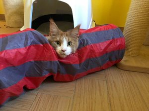 26996069_10214146625877187_1419265705_n (1).jpg