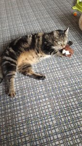 WhatsApp Image 2018-01-28 at 15.42.33.jpeg