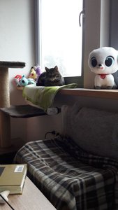 WhatsApp Image 2018-01-29 at 14.33.41.jpeg