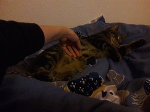 WhatsApp Image 2018-02-09 at 22.15.41.jpeg