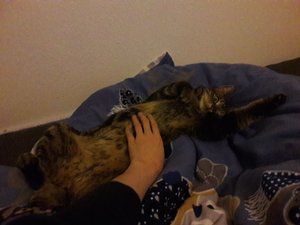 WhatsApp Image 2018-02-09 at 22.17.33.jpeg