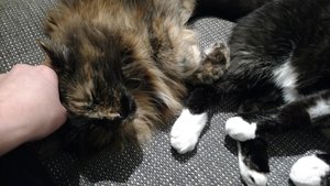 IMG_20171108_182417003 - Kopie.jpg