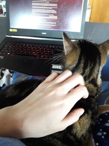 WhatsApp Image 2018-02-12 at 09.21.09.jpeg