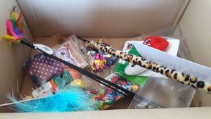 WhatsApp Image 2018-02-14 at 11.35.39.jpeg