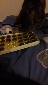 WhatsApp Image 2018-02-16 at 20.48.43.jpeg