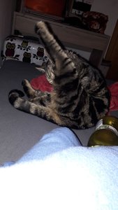 WhatsApp Image 2018-02-19 at 21.12.42.jpeg