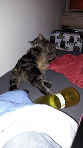 WhatsApp Image 2018-02-19 at 21.52.57.jpeg