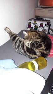 WhatsApp Image 2018-02-19 at 22.12.10.jpeg