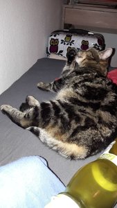 WhatsApp Image 2018-02-19 at 21.45.22.jpeg