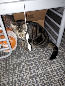 WhatsApp Image 2018-02-22 at 19.43.32.jpeg