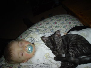 februar 2011 004.jpg