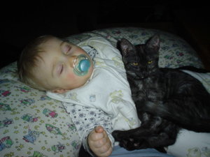 februar 2011 007.jpg