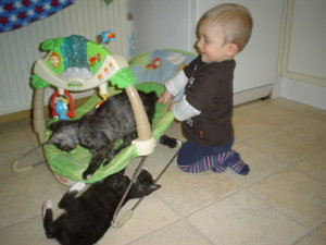 dezember-januar 026.jpg