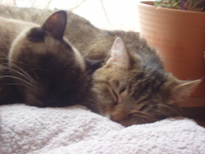 Und noch welche 022.jpg