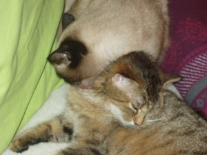 Körperpflege 040.jpg