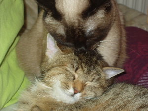 Körperpflege 049.jpg