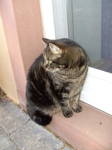 Gismo & Muzze 004.jpg