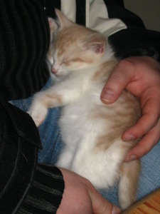 Sabrinsa Spatzi 023.JPG