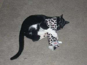 Und wiedermal ein Sonntag..... 037.jpg