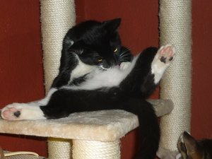 Putzen und andere Späße 045.jpg