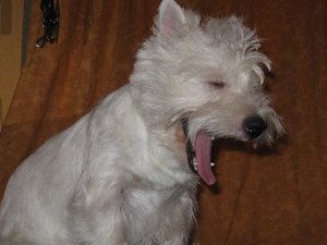 ginny_1 jahr__004.jpg