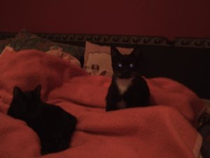 Akira & Samira 0039.jpg