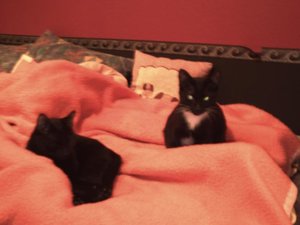 Akira & Samira 0041.jpg