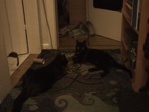 Akira & Samira 0045.jpg