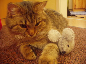 Murmelchen und Maus 001.jpg