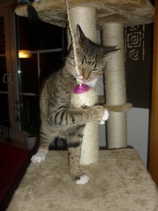 neues Spielzeug 029.jpg