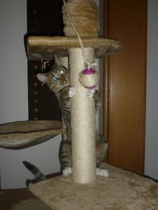 neues Spielzeug 042.jpg