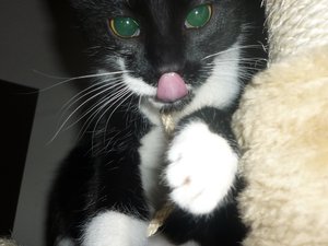 neues Spielzeug 046.jpg