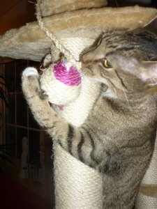 neues Spielzeug 043.jpg