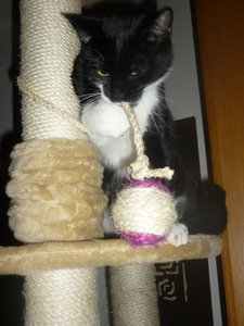 neues Spielzeug 049.jpg