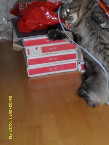 SAM_0288 - Kopie.jpg