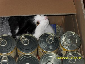 Tieroase Paketzugabe [800x600].jpg