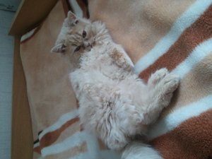 2011-02-17 13.34.54.jpg