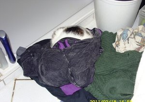 Versteck Klamotten.JPG