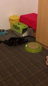 WhatsApp Image 2018-02-25 at 19.50.37.jpeg