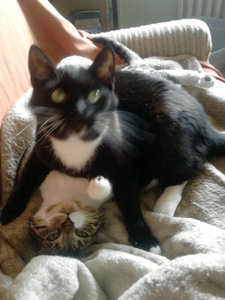 weihnachtswichteln 2017 055.jpg